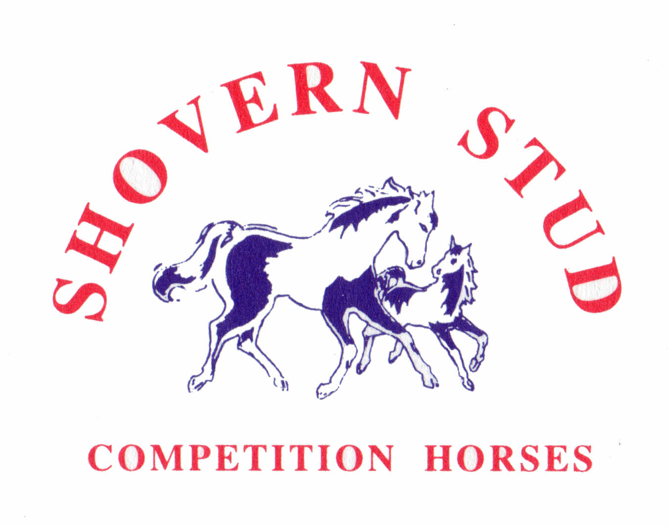 Shovern Stud Breeding.