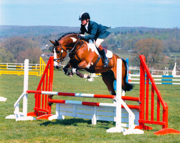 The stallion Airborn